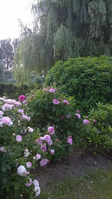 B&B Hier En Nu Heusden Экстерьер фото