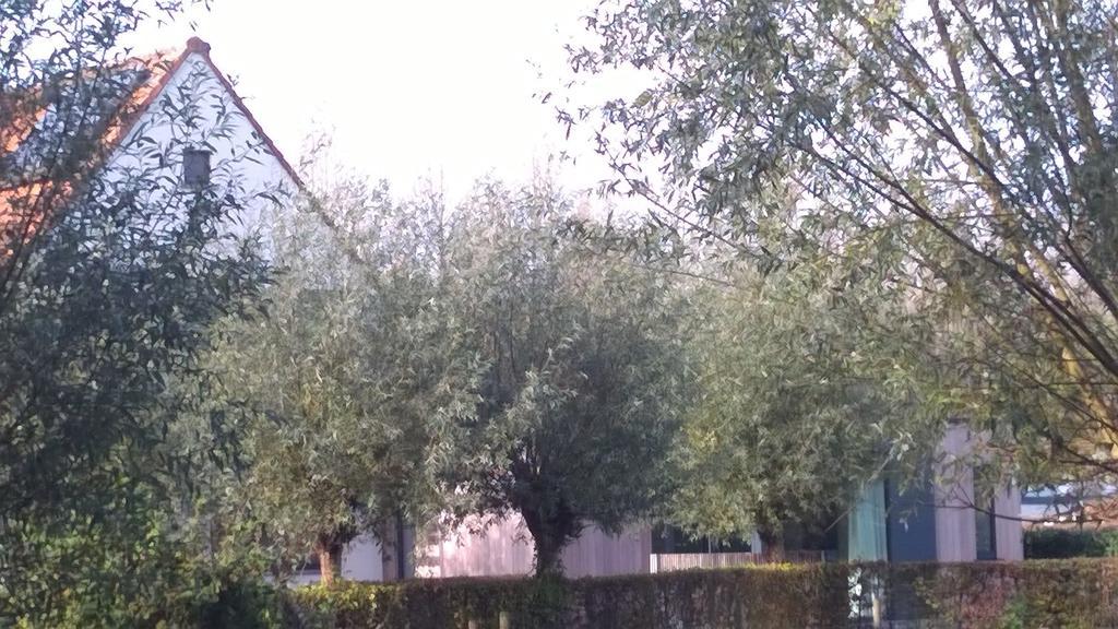 B&B Hier En Nu Heusden Экстерьер фото